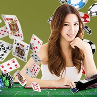 Портфолио Selvyn Patty